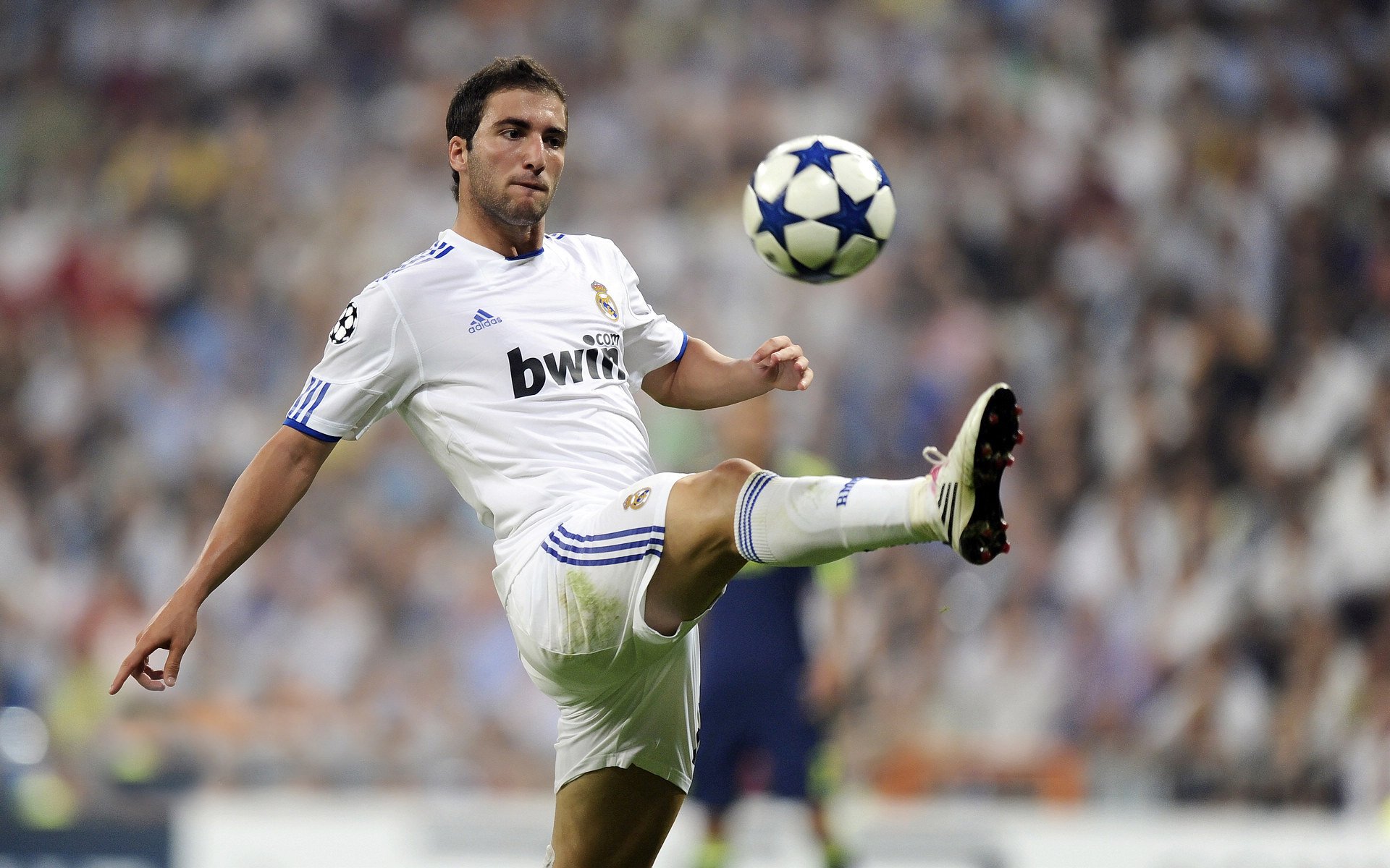 德甲强化青训体系，培养未来巨星，德甲强队有哪些